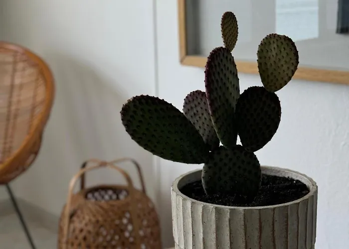 House Donana - Free Club Access To Kai Club