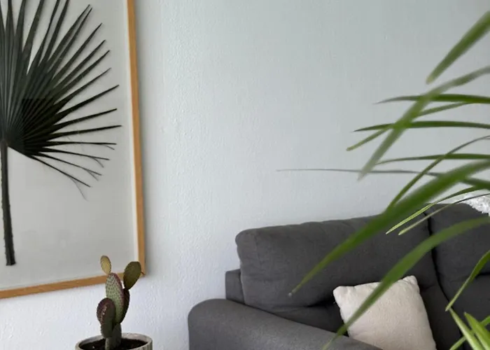 House Donana - Free Club Access To Kai Club 公寓